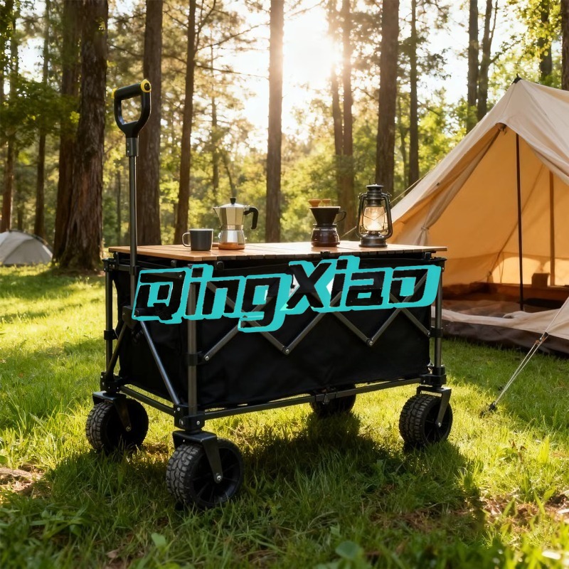 Carrello Elettrico Pieghevole  - Outdoor Camping Trolley recensione e prezzo