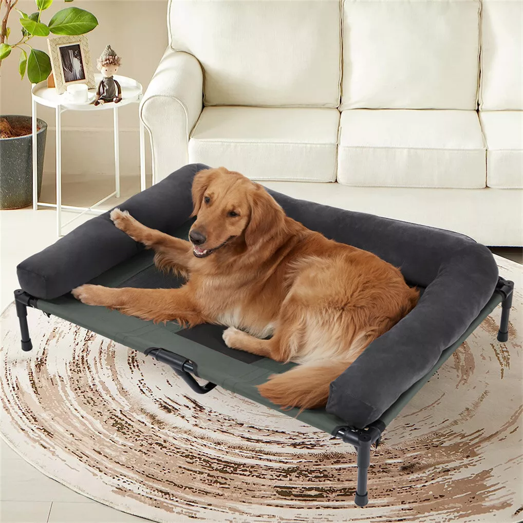 BINGOPAW Cuccia Rialzata per C - Outdoor Camping Dog Bed recensione e prezzo