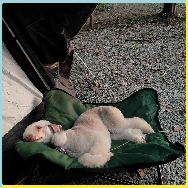 Cuccia Pieghevole Portatile pe - Outdoor Camping Dog Bed recensione e prezzo